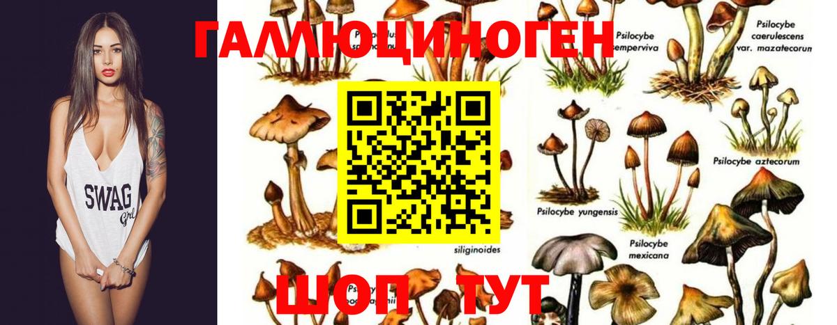 Ульяновск  Галлюциногенные грибы мицелий  Вход с VPN 