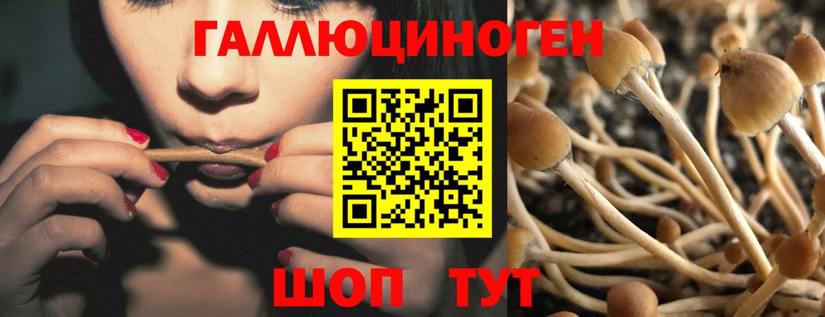 Галлюциногенные грибы Cubensis Ульяновск